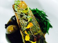 /album/temporada-de-setas-y-caza/img-6655-jpg/