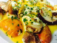 /album/temporada-de-setas-y-caza/img-6894-jpg/